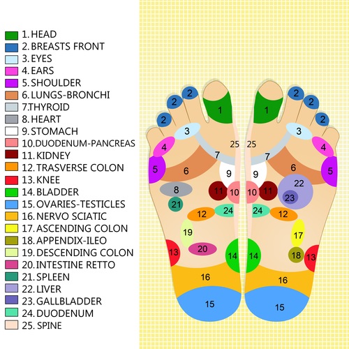 Roots of Reflexology