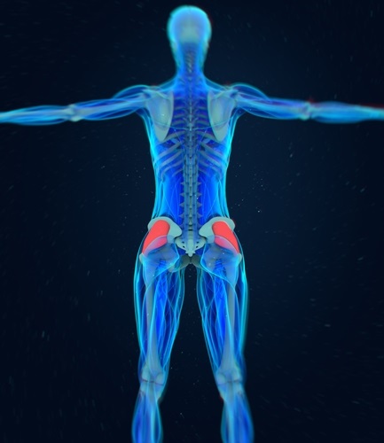 Why Is Fascia Important to Your Health?